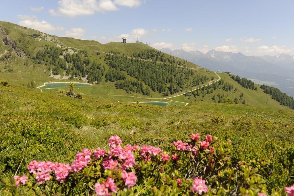Pension Waldheim Mauterndorf  Exteriör bild